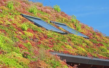 Bartonsham living roof systems