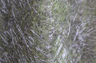 Bartonsham fibreglass roof work